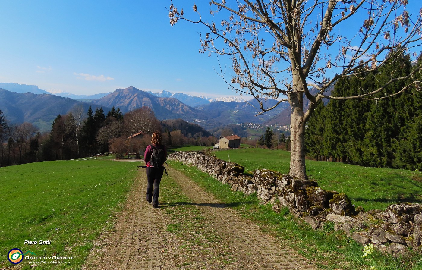 72 Verdi ormai i prati delle Stalle d'Aral.JPG